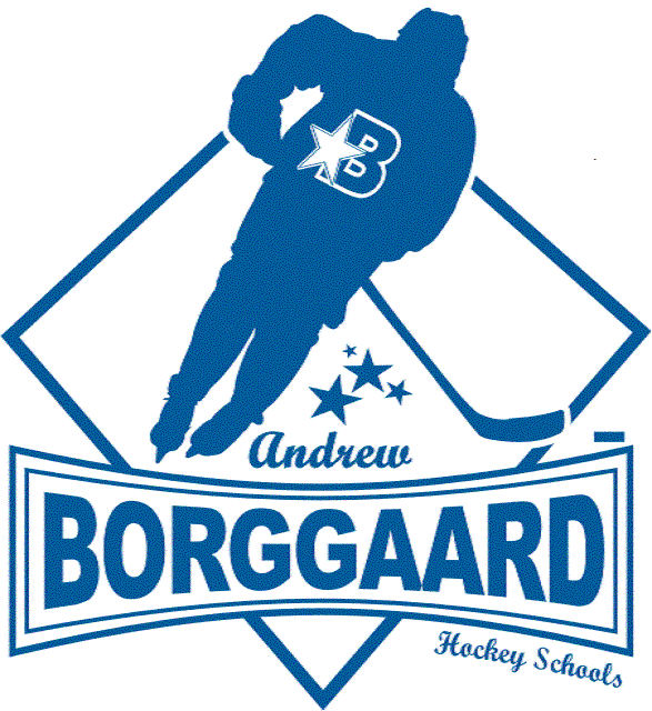 borggaardhockeylogo1.gif